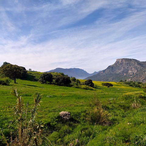 La Dehesa Biodinámica farm. Photo © Karethe Linaae